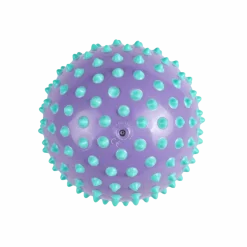 Aistipallo, ei täytetty - Liila/sininen, Ø18 cm