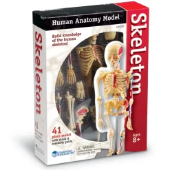 Anatomiamalli - Luuranko