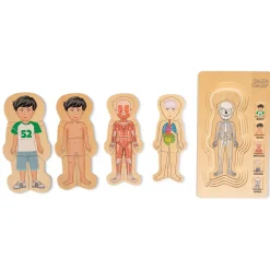 Anatomia palapeli - Poika