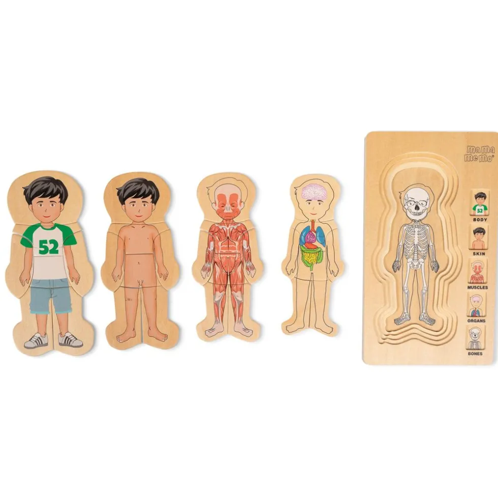 Anatomia palapeli - Poika