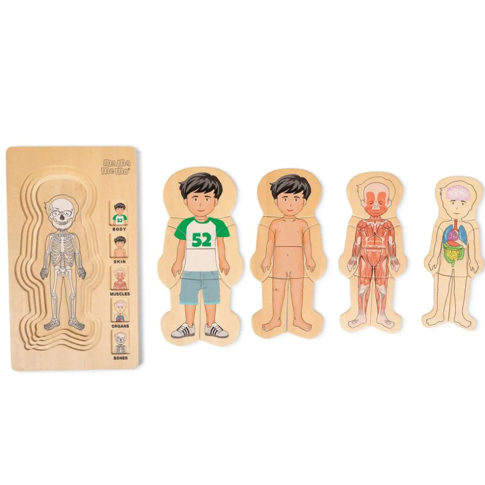 Anatomia palapeli - Poika