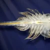 Aqua Dragons tarvikkeet - Munat ja ruokaa