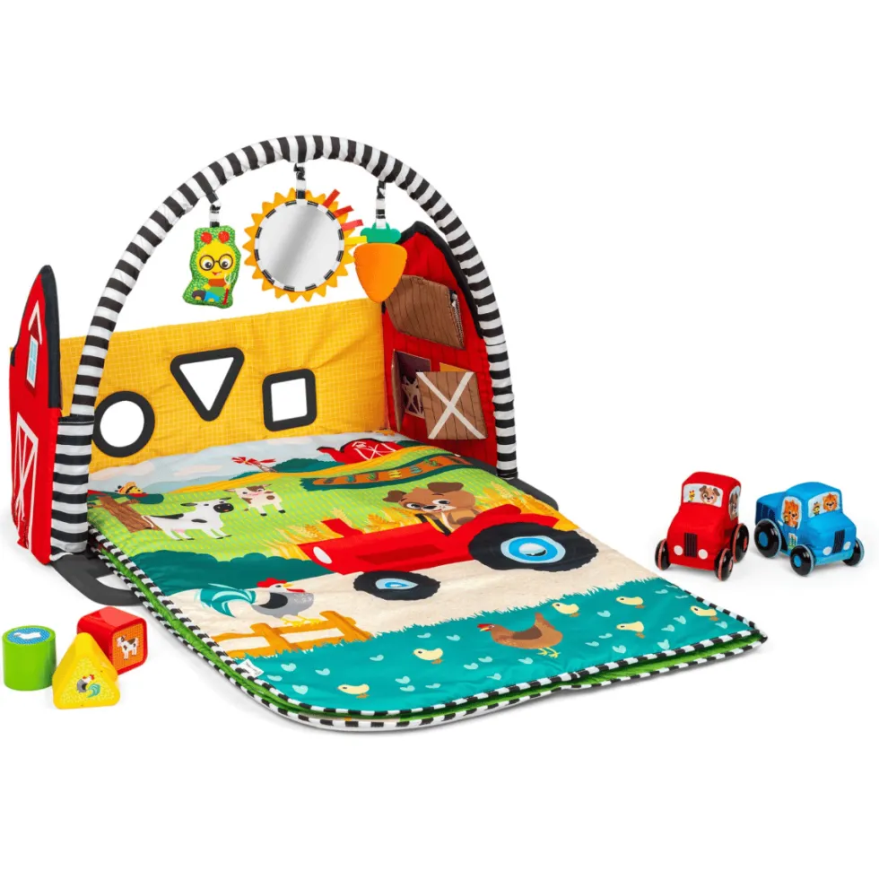 Baby Einstein – Aktiviteettimatto, Busy Barnyard