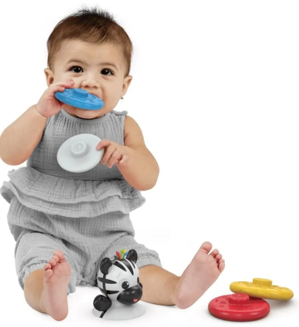 Baby Einstein - Keinuva Zebra-pinoamistorni