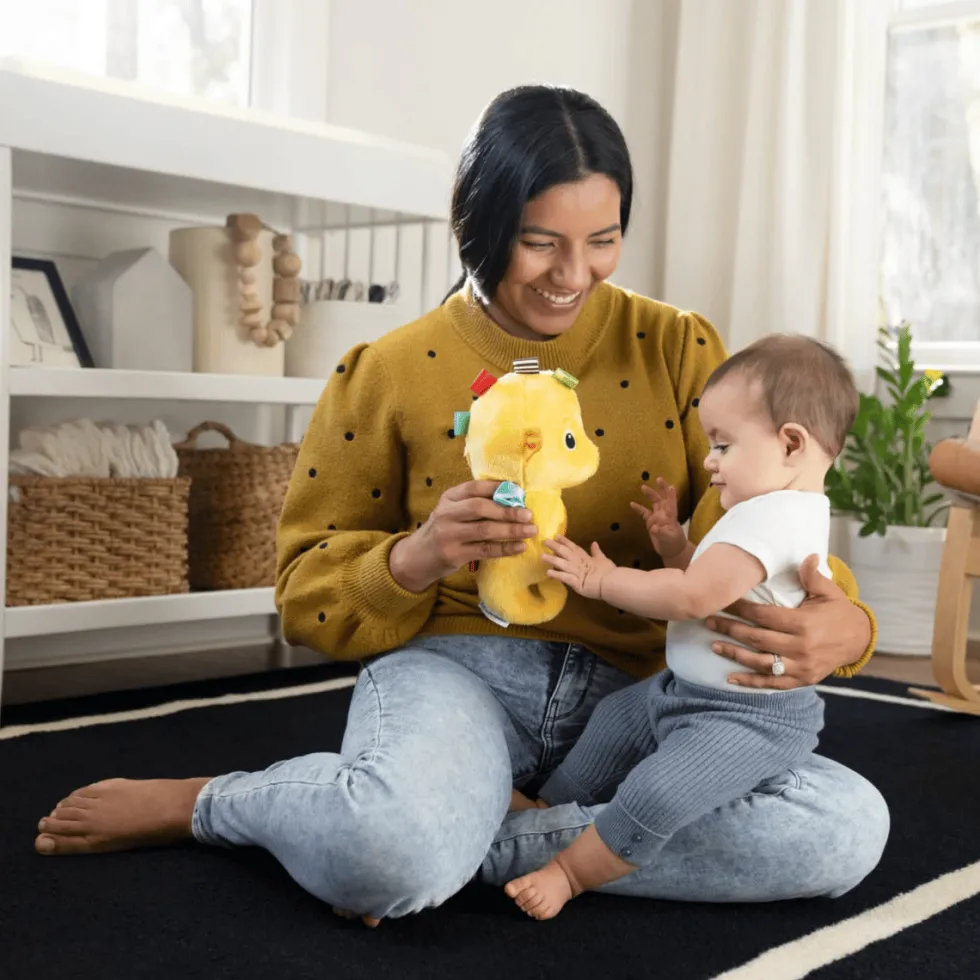 Baby Einstein - Merihevonen valolla ja musiikilla