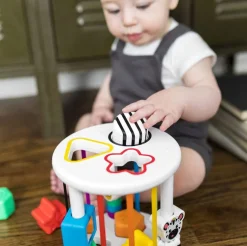 Baby Einstein - Palikkalaatikko