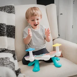 Baby Einstein – Together in Tune, Rummut
