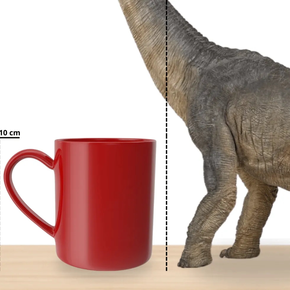 Brachiosaurus - P: 36 cm
