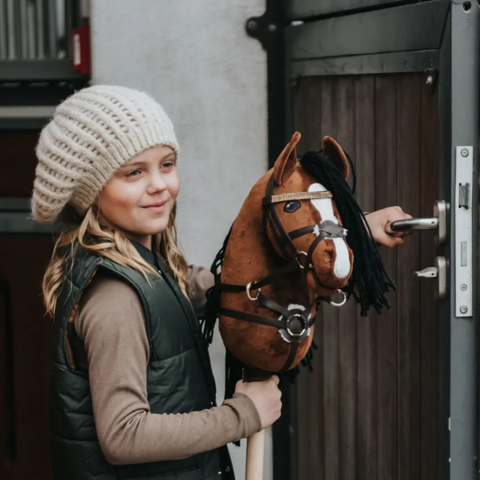 Cheval Roi lisävaruste - Kuolain, Hopea