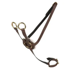 Cheval Roi lisävaruste - Martingaali, Ruskea/kulta
