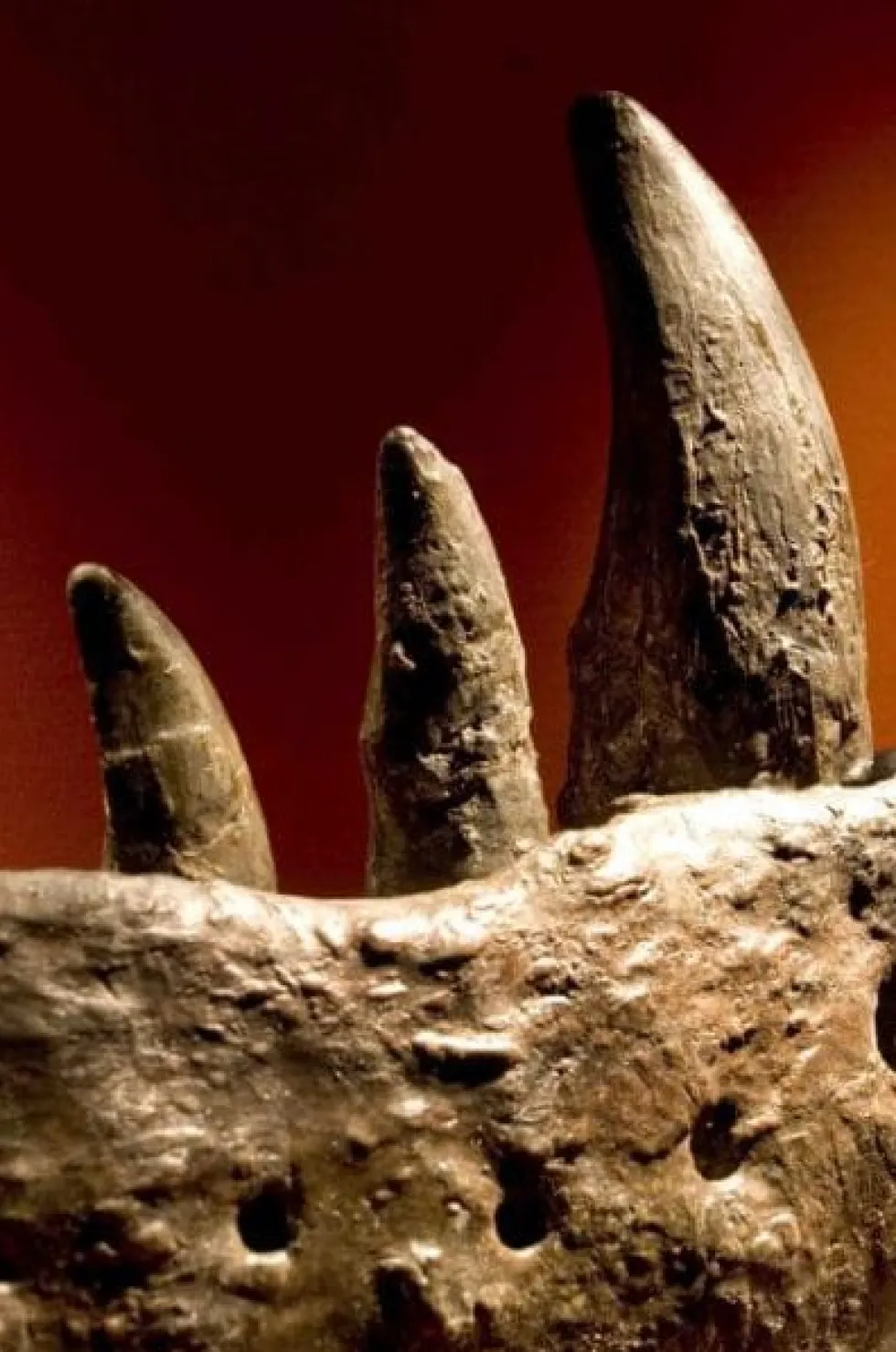 Dinosaurus-diakuvia