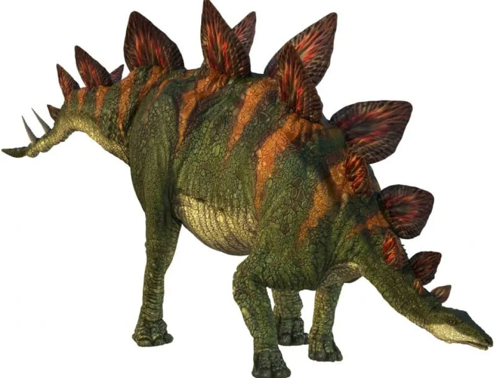 Dinosaurus-diakuvia