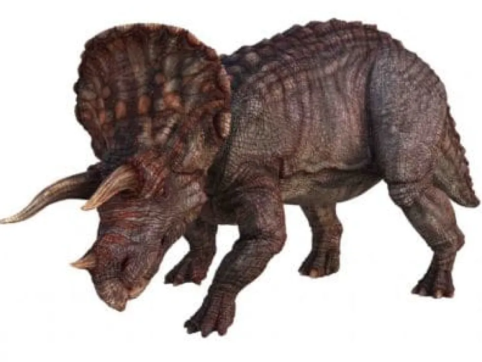 Dinosaurus-diakuvia