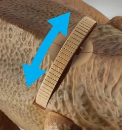 Dinosaurus projektorilla - T-Rex