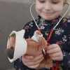 Eläinlääkärisetti, mukana koira