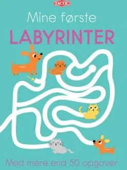 Ensimmäinen labyrinttikirjani