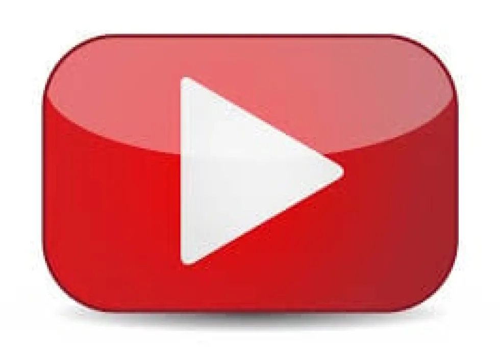 Hämähäkkisieppari