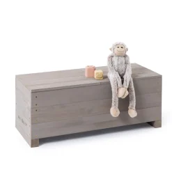 2-in-1 leikkipenkki lapsille – Discoverer