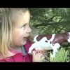 Isot viidakon eläimet, 5 kpl