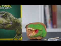 Kaiva dinosaurusten fossiileja