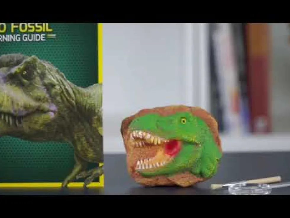 Kaiva dinosaurusten fossiileja