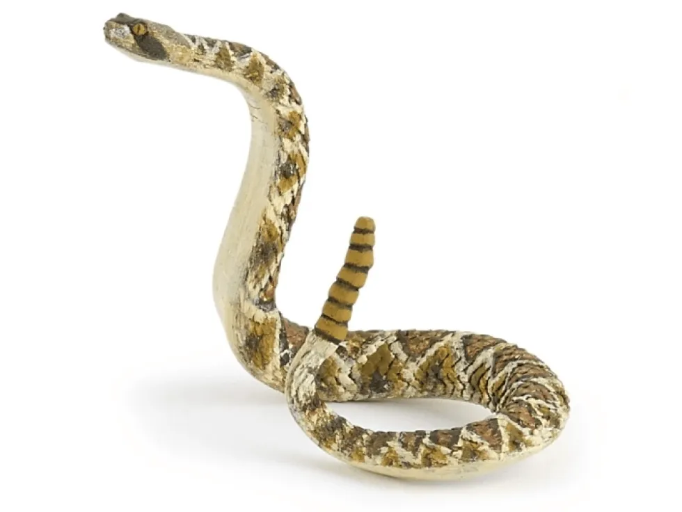 Kalkkarokäärme - P: 16,2 cm