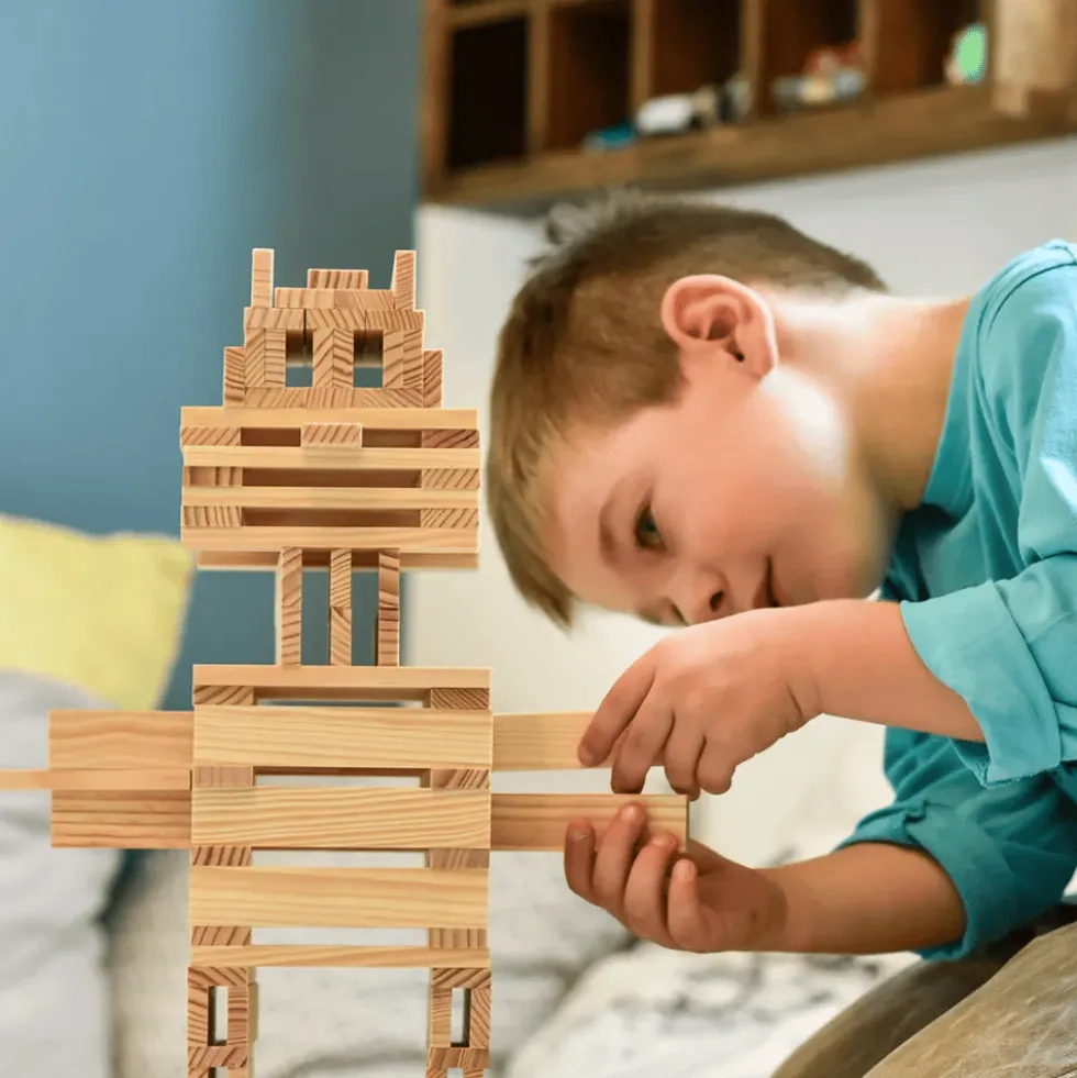 KAPLA bricks 100