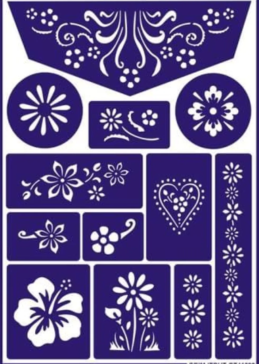 Kasvomaalisapluuna – Kukka