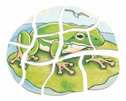 Kerrospalapeli - Sammakon elinkaari