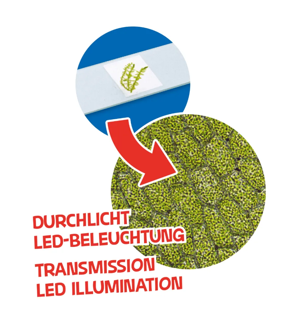 Lasten juniorimikroskooppi LED, 40x-640x