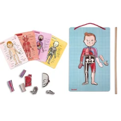 Magneettileikki – Anatomia