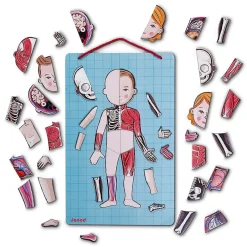 Magneettileikki – Anatomia