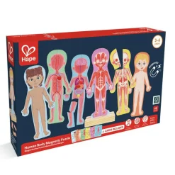 Magneettipalapeli – Anatomia