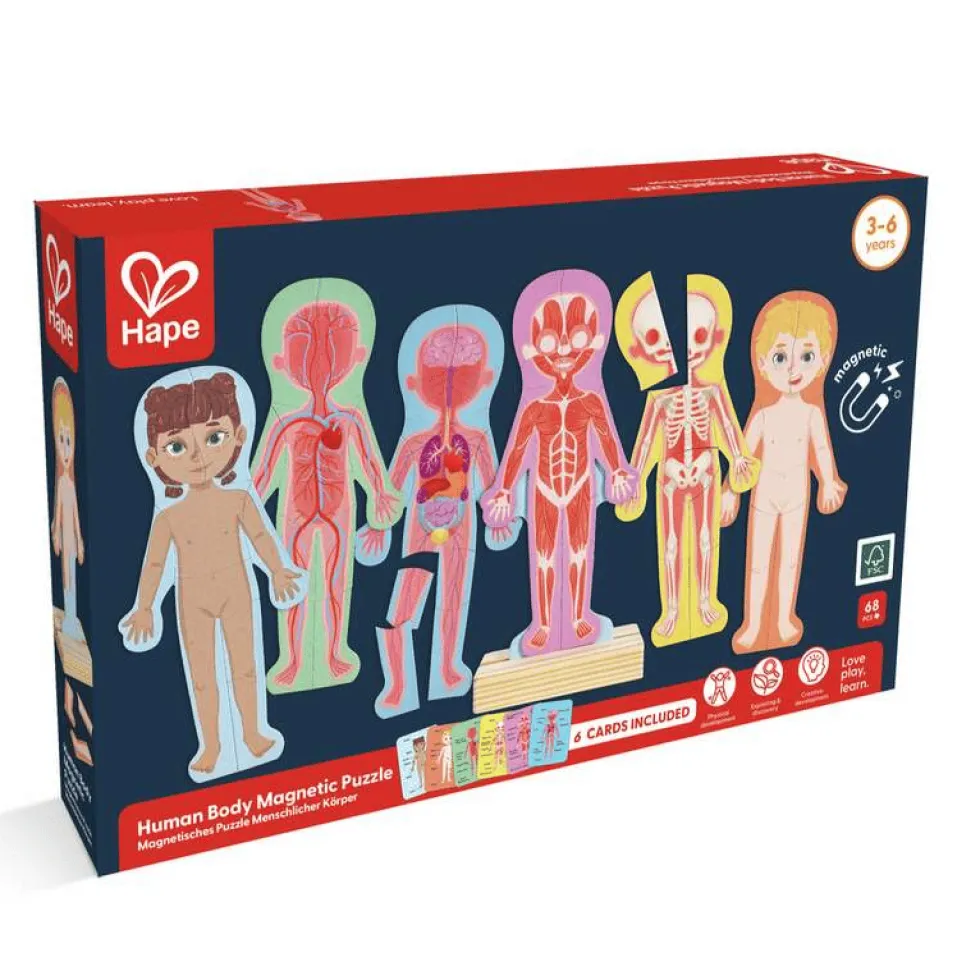 Magneettipalapeli – Anatomia