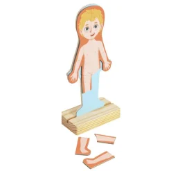 Magneettipalapeli – Anatomia