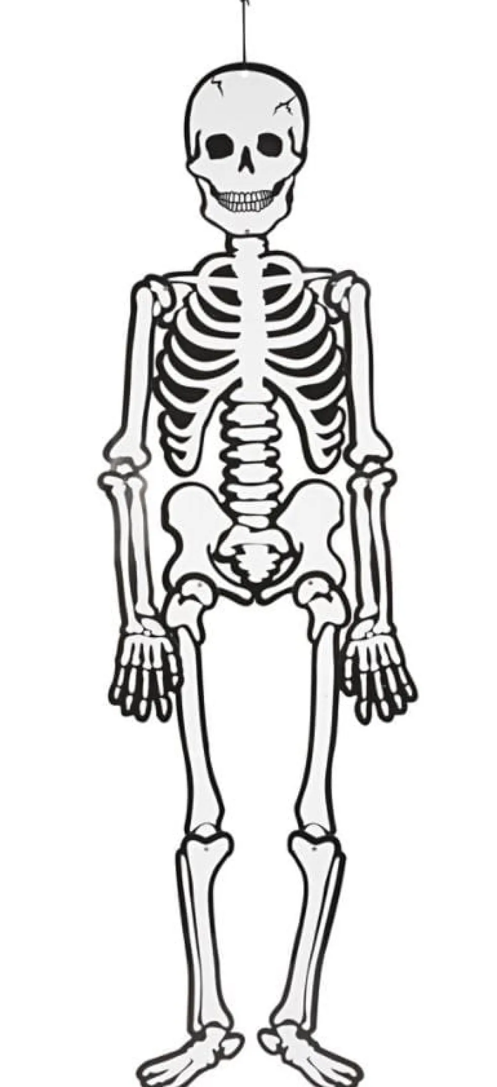Pahvinen luuranko (glow in the dark), 120 cm