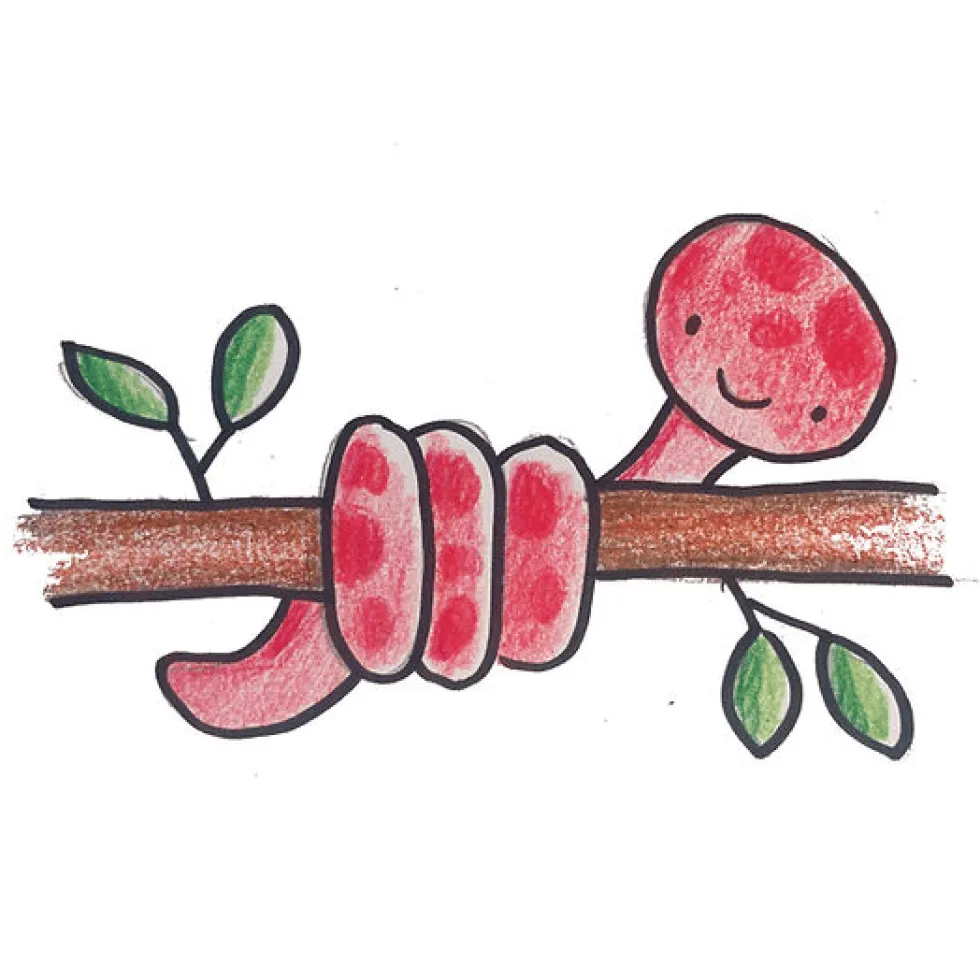 Piirustusopas – Villieläimet (alk. 4 v)