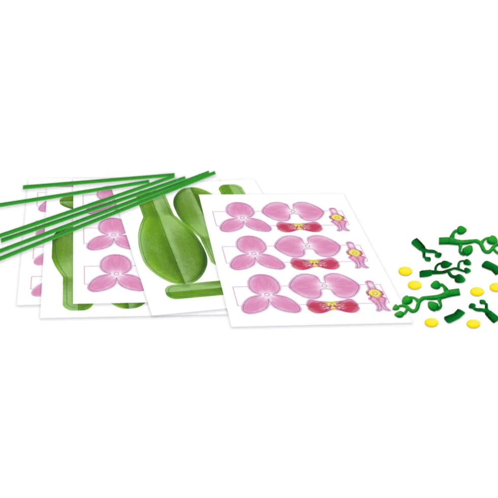Rakenna (paperi)kukka – Orkidea