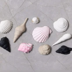 Silikonimuotti - Kotilot & simpukat, 10 kuviota