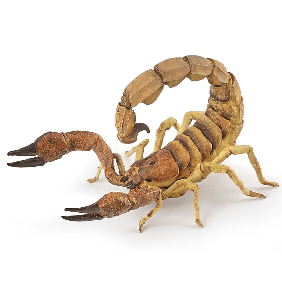 Skorpioni - P: 10,5 cm