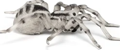 Tarantula - Ø11,5 cm