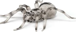 Tarantula - Ø11,5 cm