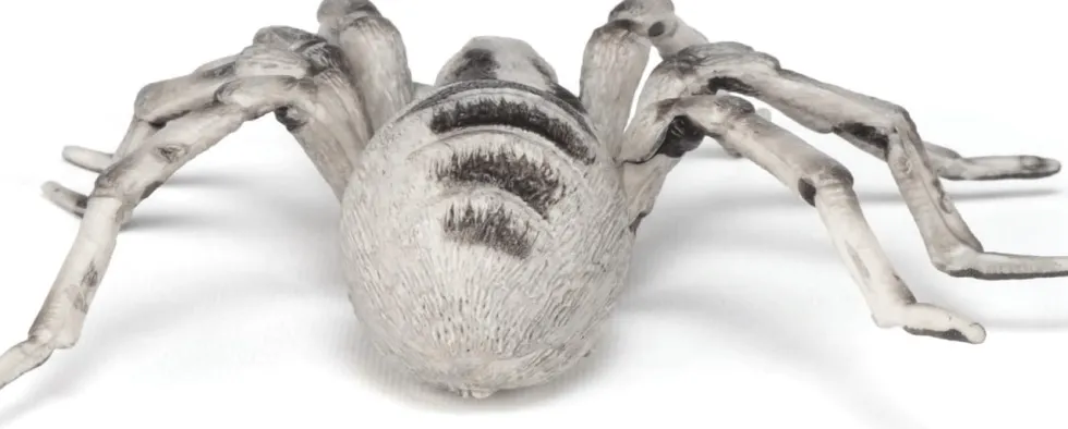 Tarantula - Ø11,5 cm