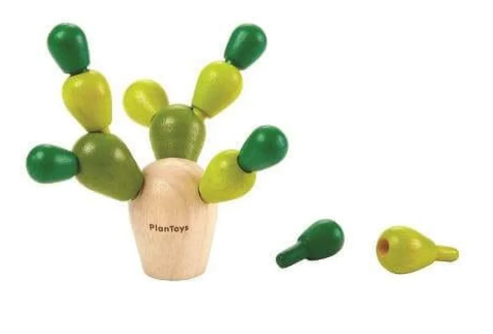 Tasapainokaktus mini