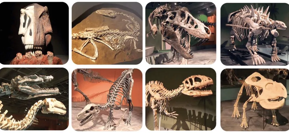 Taskulamppu dioilla - Tervehdi dinosauruksia