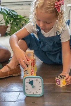 Time Timer MOD Home - 1 tunti